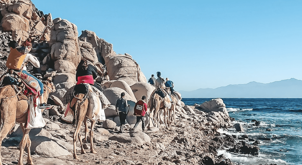 Camel Riding Dahab